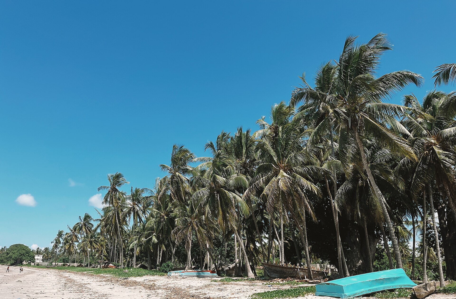 Kigamboni palm shore